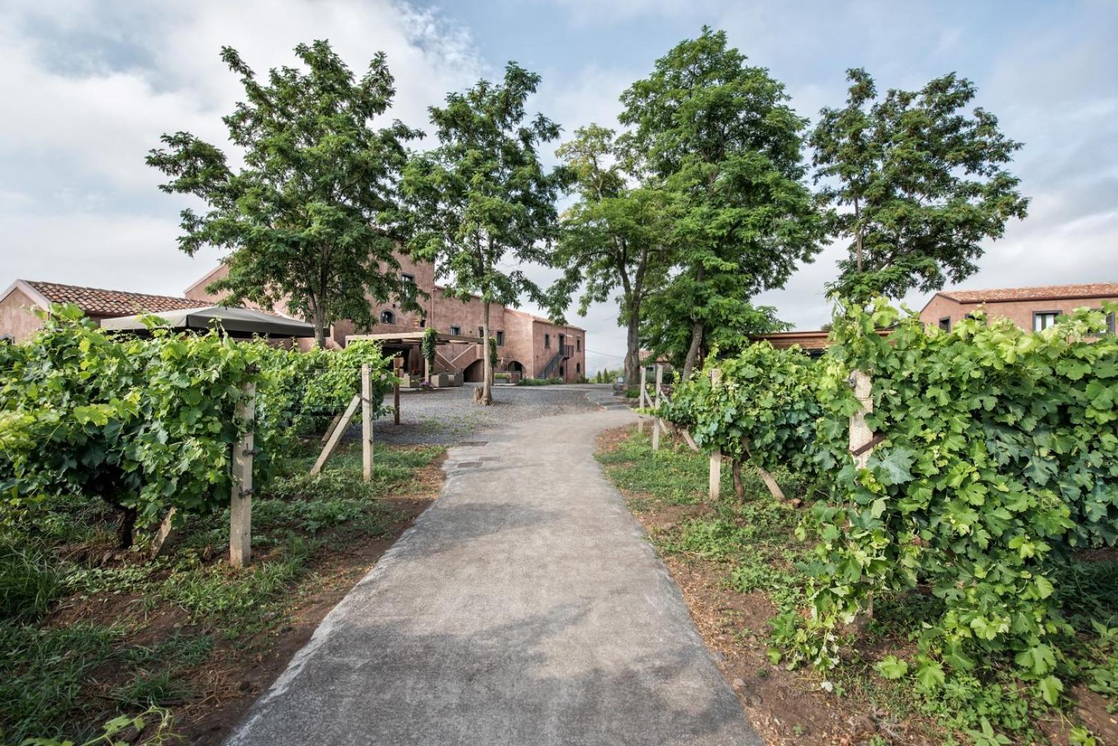 Firriato Hospitality Cavanera Etnea Resort & Wine Experience Castiglione De Sicilia Exterior foto